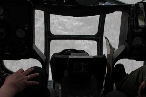 IMG_2290.jpg