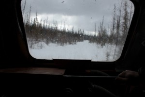 IMG_2339.jpg
