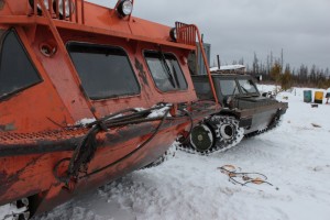 IMG_2585.jpg