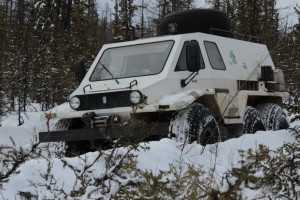 IMG_2888.jpg