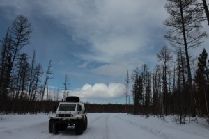 IMG_2983.jpg