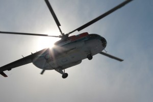 IMG_3537.jpg