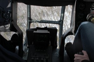 IMG_3595.jpg