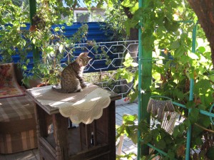 IMG_0073.JPG