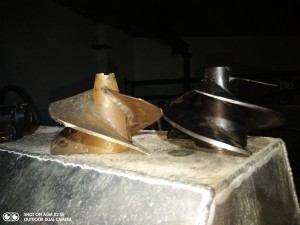 IMG_20190806_203816.jpg